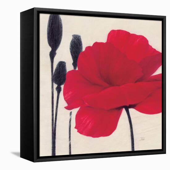 Rouge-Ivo-Framed Stretched Canvas