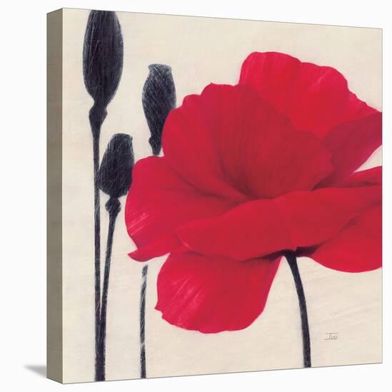 Rouge-Ivo-Stretched Canvas