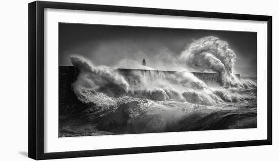 Rough and Tumble-Lloyd Lane-Framed Giclee Print