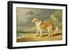 Rough-Coated Collie, 1809 (Oil on Board)-James Ward-Framed Giclee Print