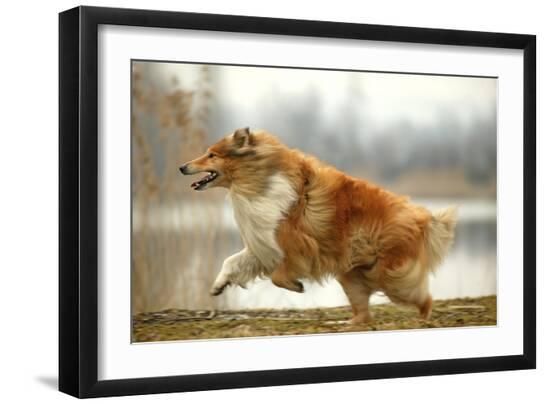 Premium Photographic Print, , large
