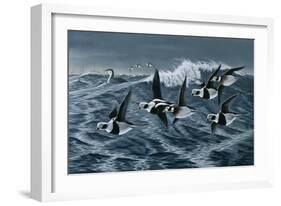 Rough Day on the Bay - Oldsquaw Ducks-Wilhelm Goebel-Framed Giclee Print