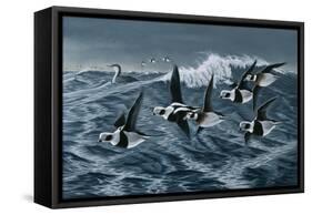 Rough Day on the Bay - Oldsquaw Ducks-Wilhelm Goebel-Framed Stretched Canvas