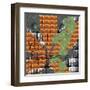 Rough Edges-Jan Weiss-Framed Art Print