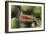 Rough File Clam-Hal Beral-Framed Photographic Print