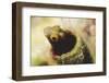 Rough Head Bleny-Hal Beral-Framed Photographic Print