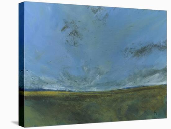 Rough Moor-Paul Bailey-Stretched Canvas