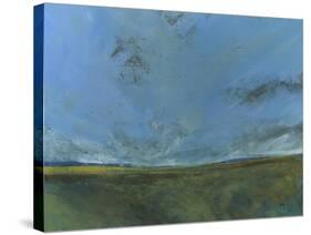 Rough Moor-Paul Bailey-Stretched Canvas