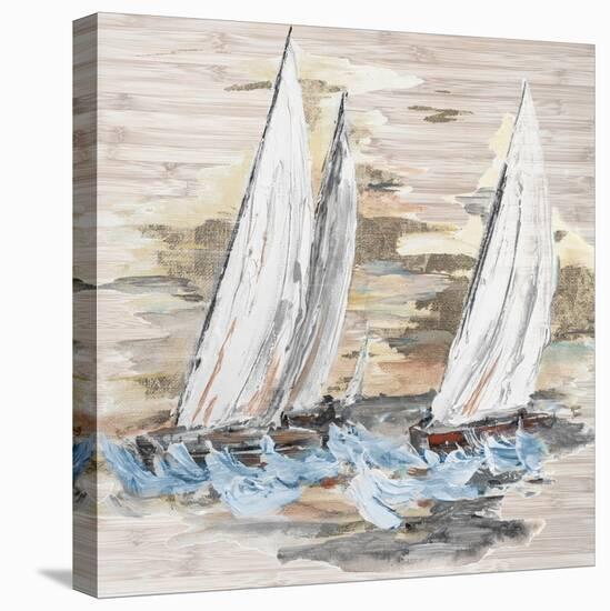 Rough Sailing II-Patricia Pinto-Stretched Canvas