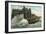 Rough Sea, Splash Point, Eastbourne, Sussex, C1912-null-Framed Giclee Print