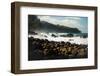 Rough seas off the coast of Laupahoehoe, Big Island, Hawaii-Mark A Johnson-Framed Photographic Print