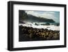 Rough seas off the coast of Laupahoehoe, Big Island, Hawaii-Mark A Johnson-Framed Photographic Print