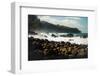 Rough seas off the coast of Laupahoehoe, Big Island, Hawaii-Mark A Johnson-Framed Photographic Print