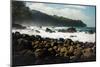 Rough seas off the coast of Laupahoehoe, Big Island, Hawaii-Mark A Johnson-Mounted Photographic Print