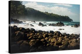 Rough seas off the coast of Laupahoehoe, Big Island, Hawaii-Mark A Johnson-Stretched Canvas