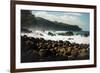 Rough seas off the coast of Laupahoehoe, Big Island, Hawaii-Mark A Johnson-Framed Photographic Print