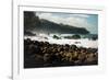 Rough seas off the coast of Laupahoehoe, Big Island, Hawaii-Mark A Johnson-Framed Photographic Print