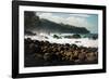 Rough seas off the coast of Laupahoehoe, Big Island, Hawaii-Mark A Johnson-Framed Photographic Print