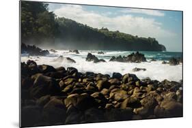 Rough seas off the coast of Laupahoehoe, Big Island, Hawaii-Mark A Johnson-Mounted Photographic Print