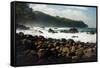 Rough seas off the coast of Laupahoehoe, Big Island, Hawaii-Mark A Johnson-Framed Stretched Canvas