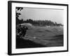 Rough Water and Blowing Palm Trees-Philip Gendreau-Framed Photographic Print