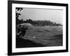 Rough Water and Blowing Palm Trees-Philip Gendreau-Framed Photographic Print