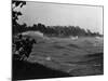 Rough Water and Blowing Palm Trees-Philip Gendreau-Mounted Photographic Print