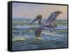 Rough Water Fishing-Bruce Dumas-Framed Stretched Canvas