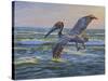 Rough Water Fishing-Bruce Dumas-Stretched Canvas