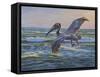 Rough Water Fishing-Bruce Dumas-Framed Stretched Canvas