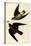 Rough Winged Swallow-John James Audubon-Stretched Canvas