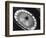 Roulette Wheel-Bettmann-Framed Photographic Print