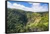 Rouna Falls along Sogeri road, Port Moresby, Papua New Guinea, Pacific-Michael Runkel-Framed Stretched Canvas