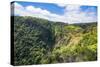 Rouna Falls along Sogeri road, Port Moresby, Papua New Guinea, Pacific-Michael Runkel-Stretched Canvas