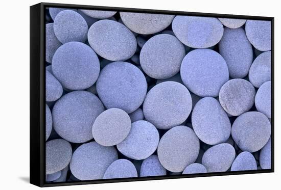 Round and flat grey blue stones along Rialto Beach, Olympic National Park, Washington State-Darrell Gulin-Framed Stretched Canvas