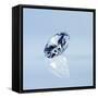 Round Cut Diamond-null-Framed Stretched Canvas