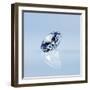 Round Cut Diamond-null-Framed Photographic Print