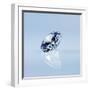 Round Cut Diamond-null-Framed Photographic Print