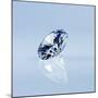 Round Cut Diamond-null-Mounted Photographic Print