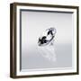 Round Cut Diamond-null-Framed Photographic Print