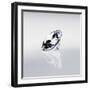 Round Cut Diamond-null-Framed Photographic Print