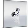 Round Cut Diamond-null-Mounted Photographic Print