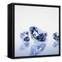 Round Cut Diamonds-null-Framed Stretched Canvas