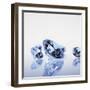 Round Cut Diamonds-null-Framed Photographic Print