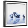 Round Cut Diamonds-null-Framed Photographic Print