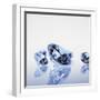 Round Cut Diamonds-null-Framed Photographic Print