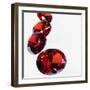 Round Cut Rubies-null-Framed Photographic Print