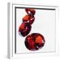 Round Cut Rubies-null-Framed Photographic Print