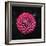 Round Dahlia 2020 (photograph)-Ant Smith-Framed Photographic Print