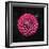 Round Dahlia 2020 (photograph)-Ant Smith-Framed Photographic Print